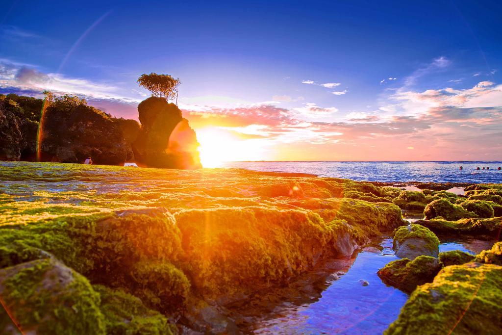 Wisma tamu Impossible Cliff House 3*